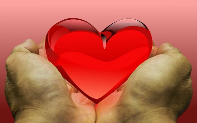 How to Start Charity: Where to Start